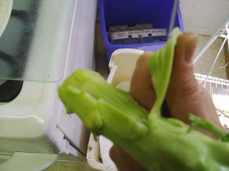 peeling the broccoli stalk