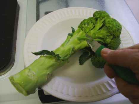 Cutting florets off the broccoli stalk