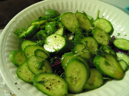 Fast-marinated cucumbers, half-sour kosher dill style